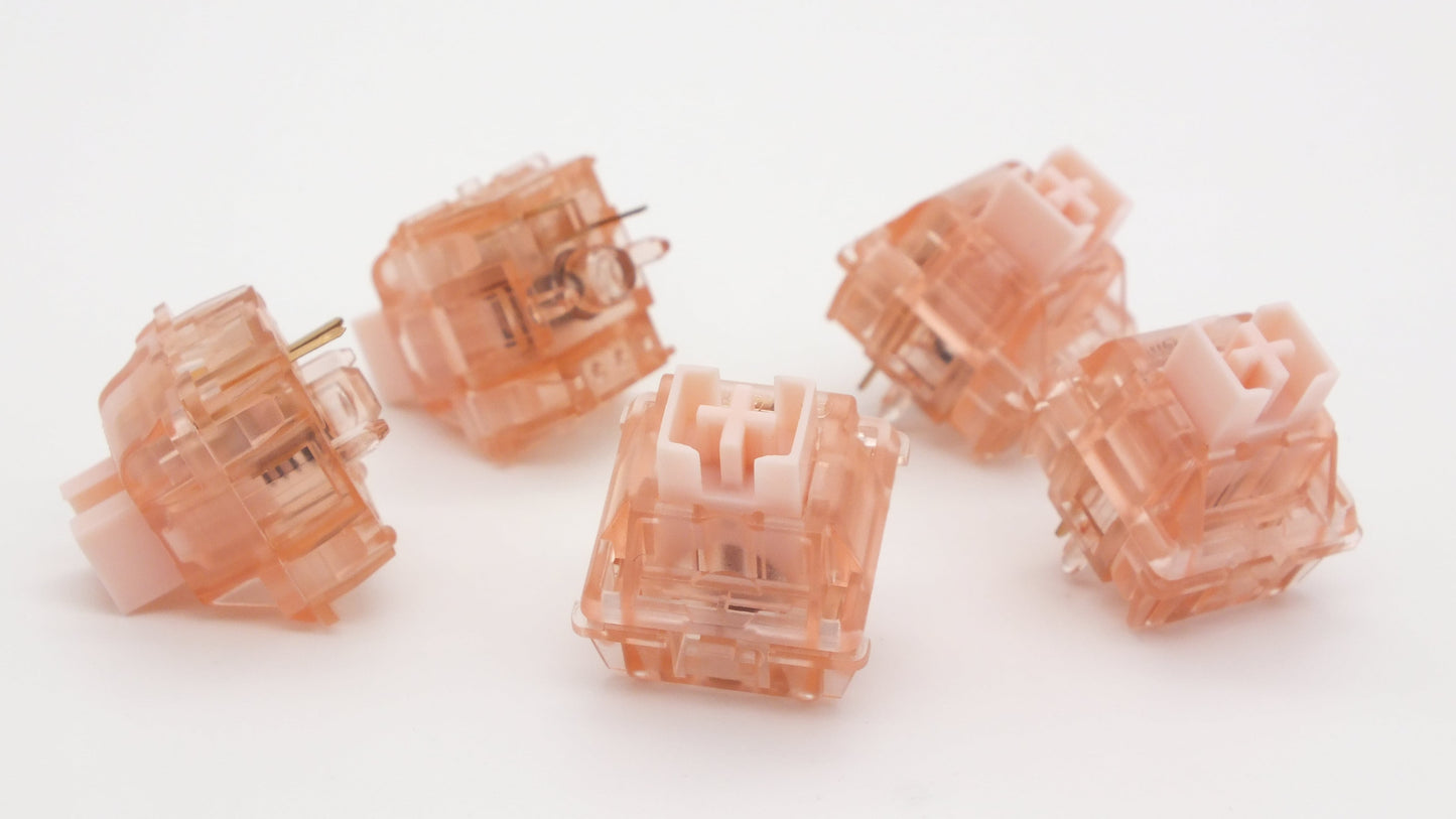 The Teleport Gateron Box Ink Pink V2 (10 Stück)