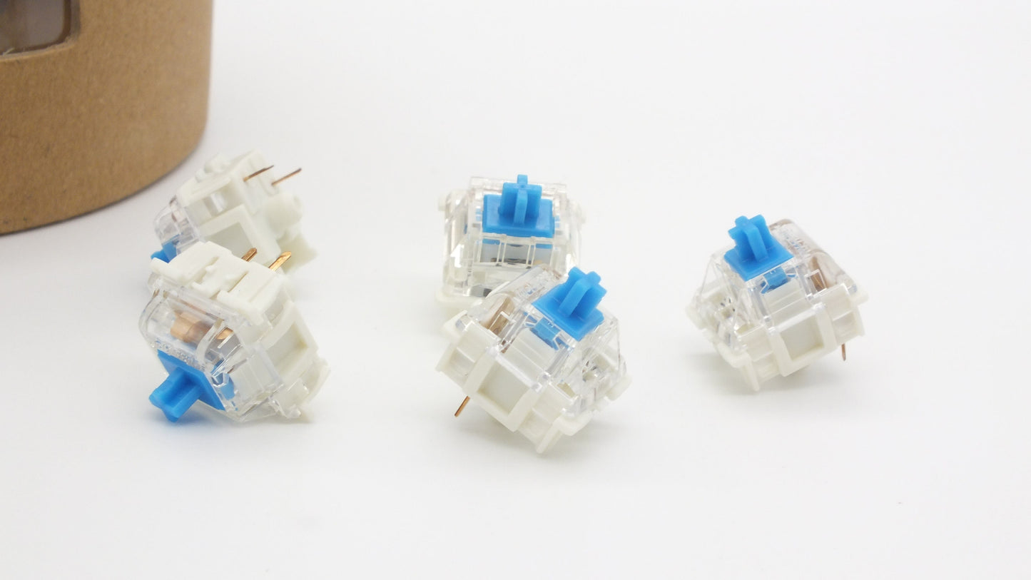 The Teleport 90 oder 110 Gateron Switches nach Wahl inkl. Teleport Switch Box G Pro 2.0 Blue / 110 Stück